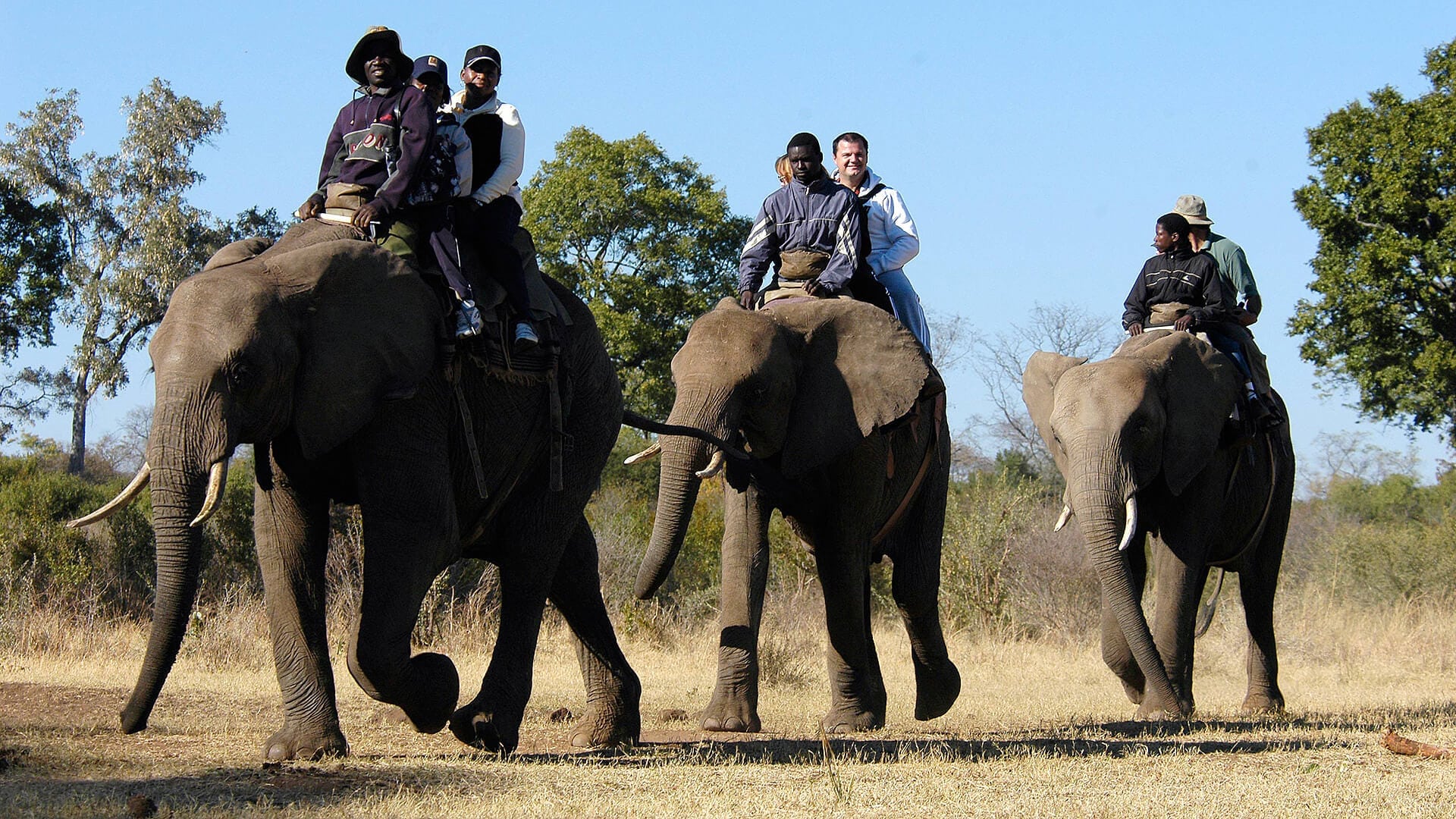elephant back safari south africa