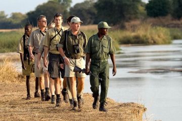 Bush Walks Pilanesberg National Park