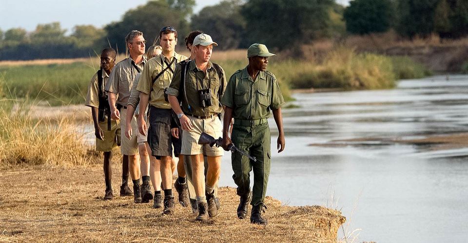 Bush Walks Pilanesberg National Park