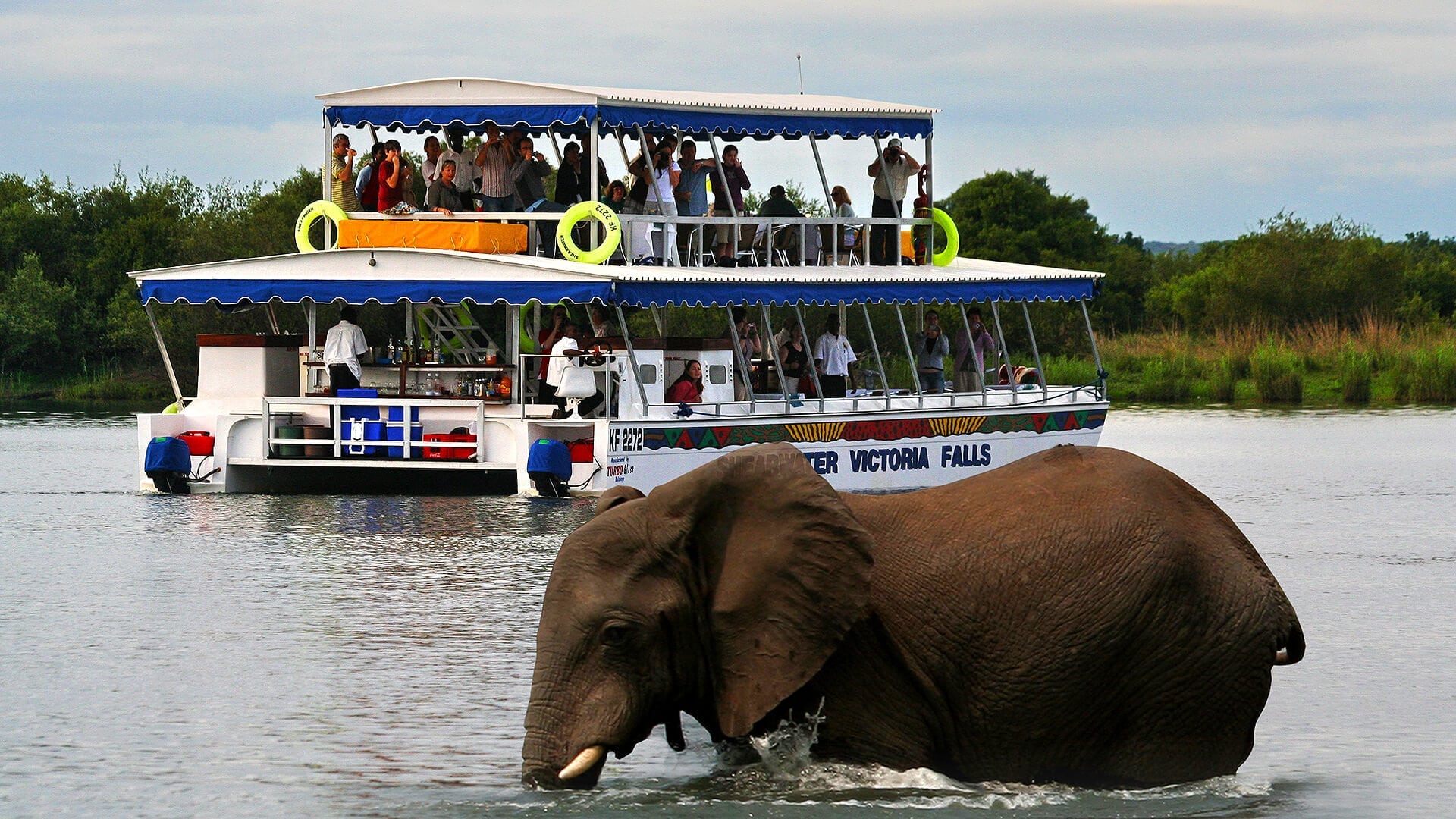 zambezi river cruise zambia