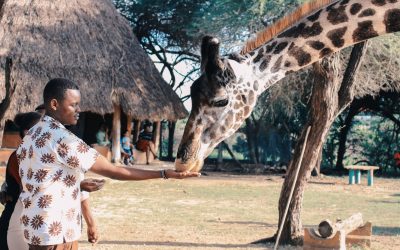 4 Wild Animal Encounters to Enjoy in Africa That Aren’t a Big 5 Safari