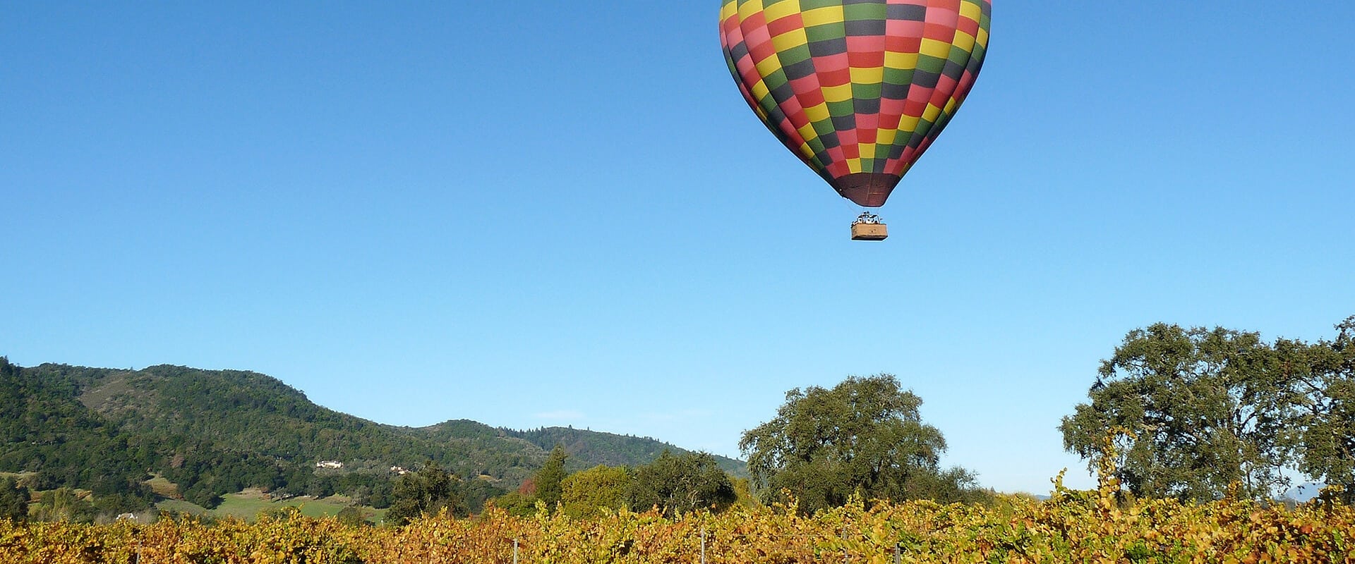 Hot Air Ballooning Winelands