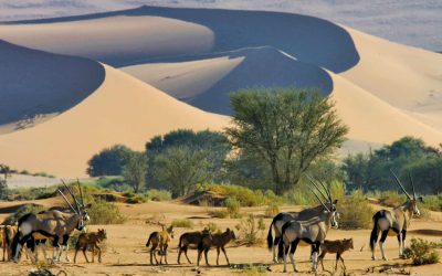 Natural Namibia wonders you didn’t know existed